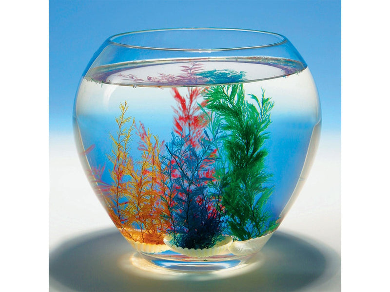 Goki Magic Shell 1pc.