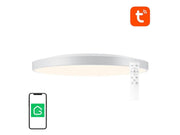 Gosund Smart Ceiling Lamp 32cm WiFi/Bluetooth 16M RGBCW 1920lm + Remote Control