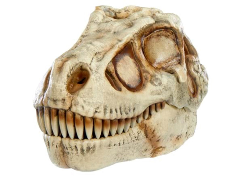 Gross-a-saurus GrossMos Dino - assorted