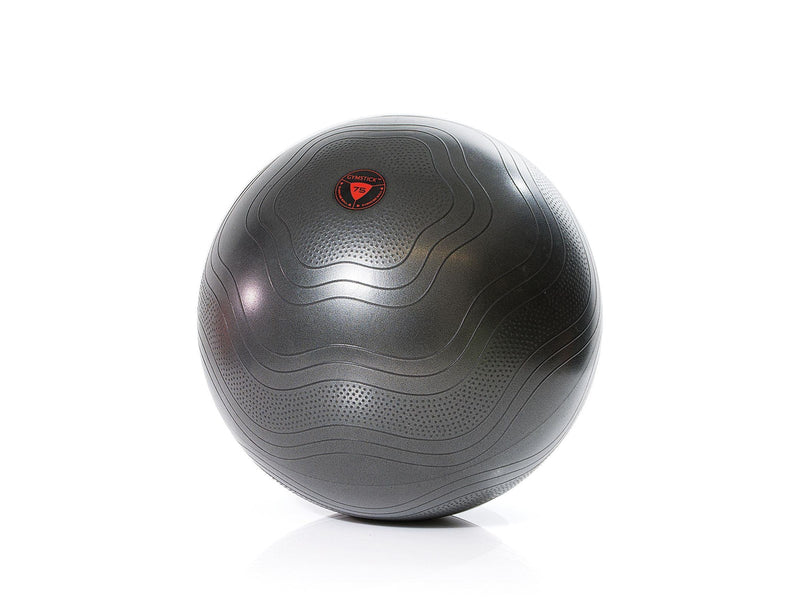 Gymstick Exercise Ball 55cm