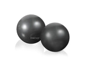 Gymstick Exercise Weight Ball 2 x 1kg