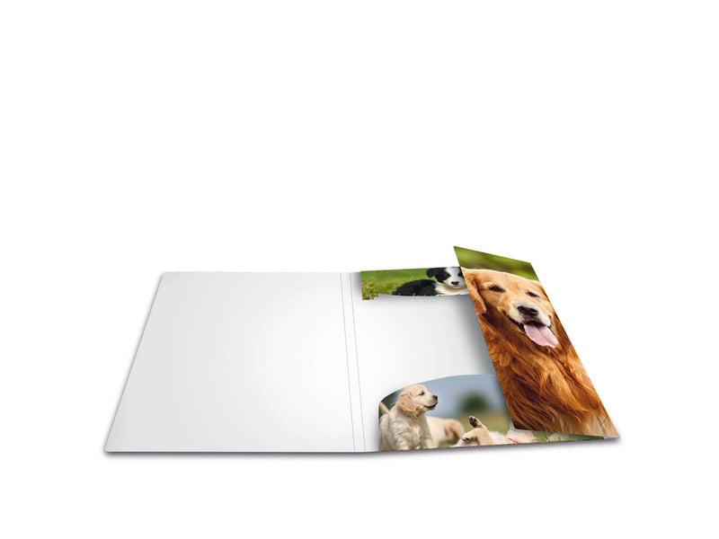 HERMA Elasticated folder A3 PP Dogs