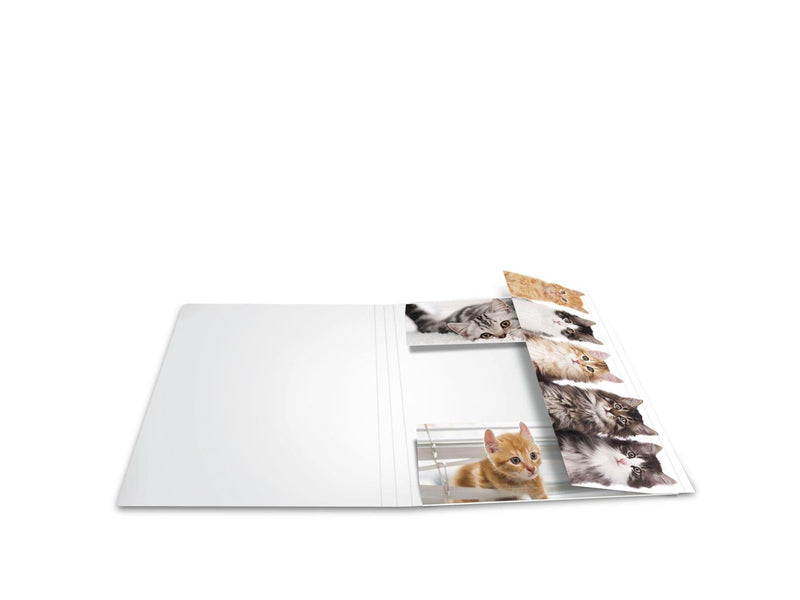 HERMA Elasticated folder A3 cardboard cats