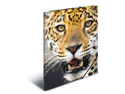 HERMA Elasticated folder A4 PP Leopard