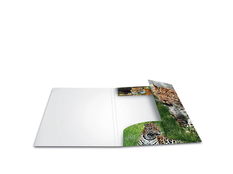 HERMA Elasticated folder A4 PP Leopard