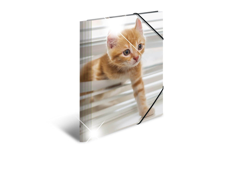 HERMA Elasticated folder glossy animals A4 PP cats