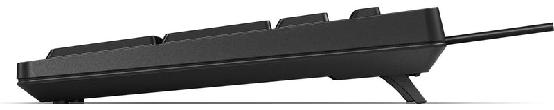 HP 125 Kabelgebundene Tastatur