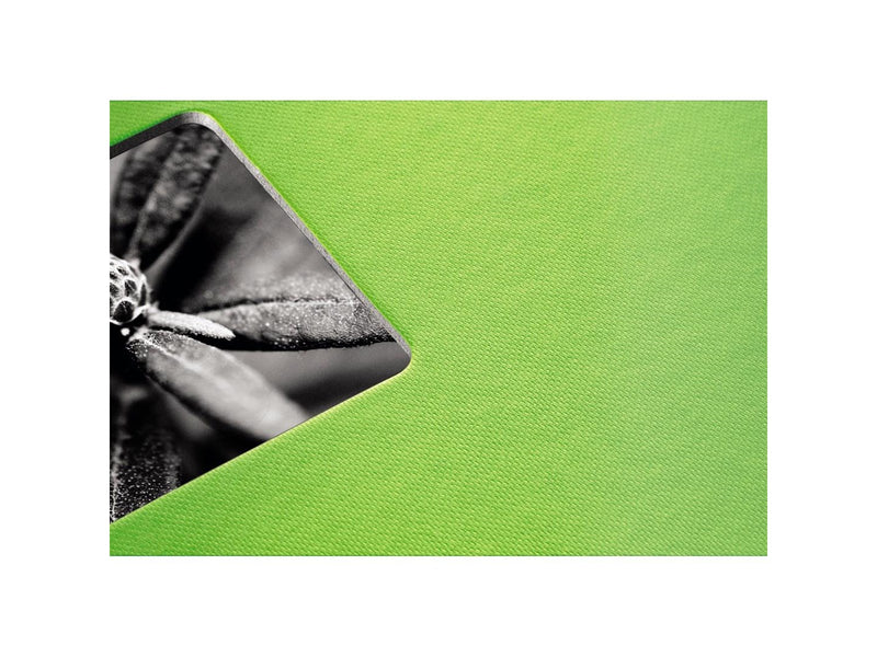 Hama "Fine Art" Spiral Album 24 x 17 cm 50 White Pages kiwi