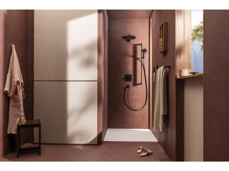 Hansgrohe raindance alive select s hand shower 125 3jet ecosmart m