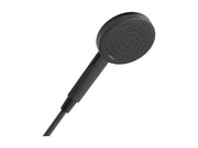Hansgrohe raindance alive select s hand shower 125 3jet ecosmart m