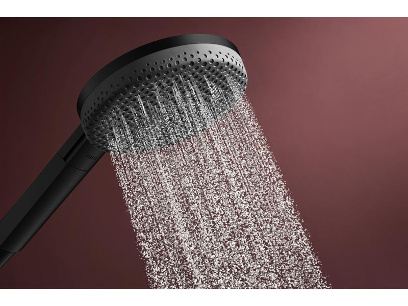 Hansgrohe raindance alive select s hand shower 125 3jet ecosmart m