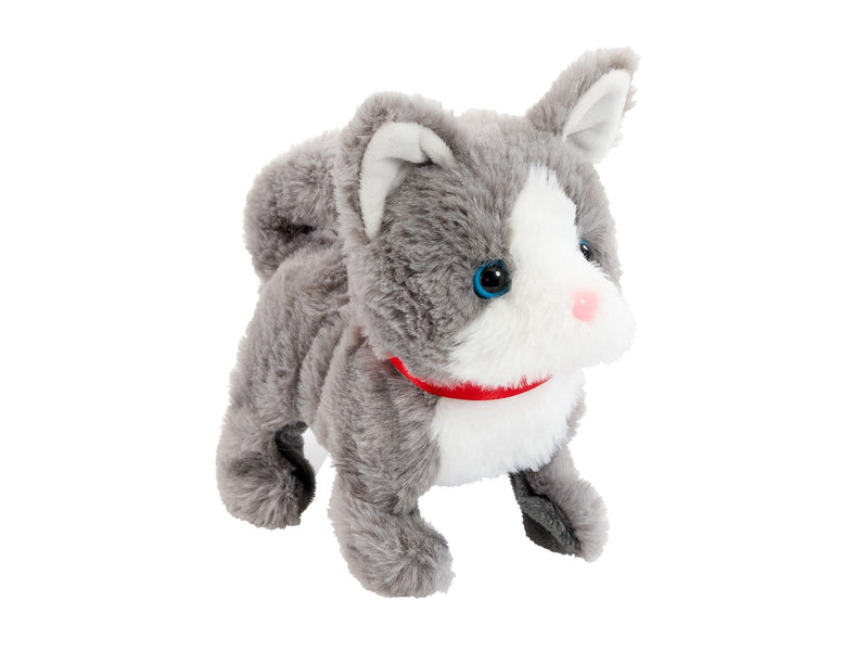 Happy Pets Pretty Little Kitty 3 (Assorted)