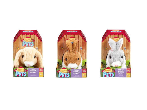 Happy Pets Teeny Weeny Bunny 3 asst.