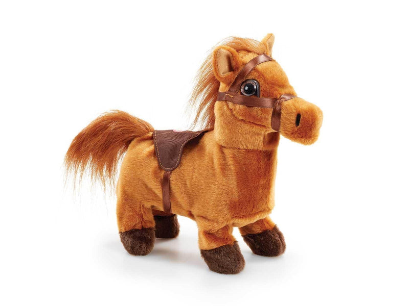 Happy Pets Walk Along Pony