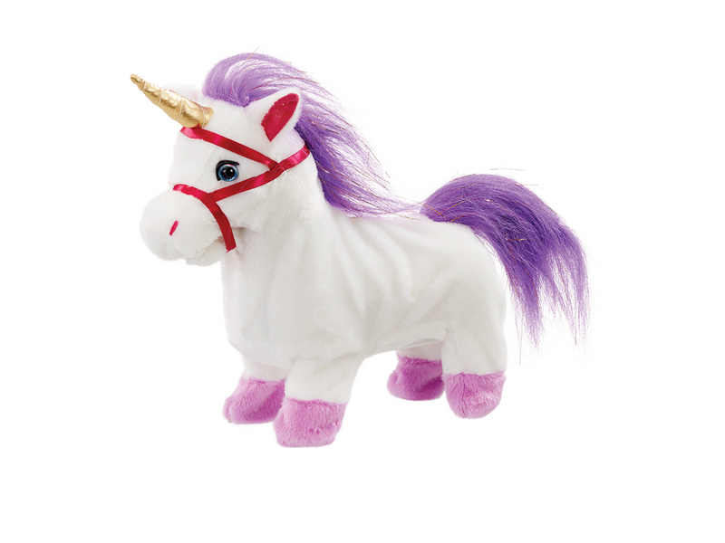 Happy Pets Walking Along Unicorn