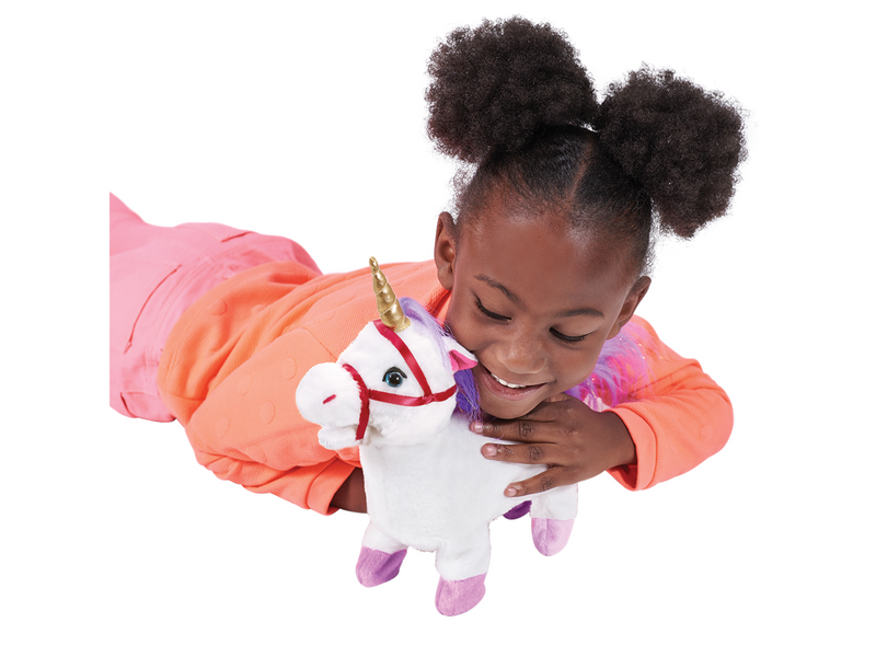 Happy Pets Walking Along Unicorn