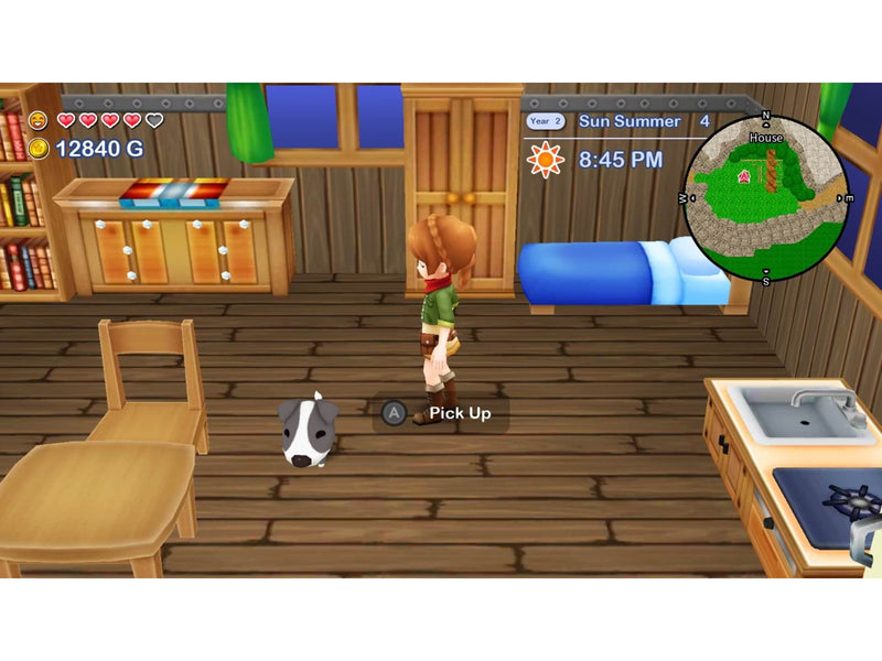 Harvest Moon: The Lost Valley & Skytree Village (Collector's Edition) - Nintendo Switch - RPG - PEGI 3