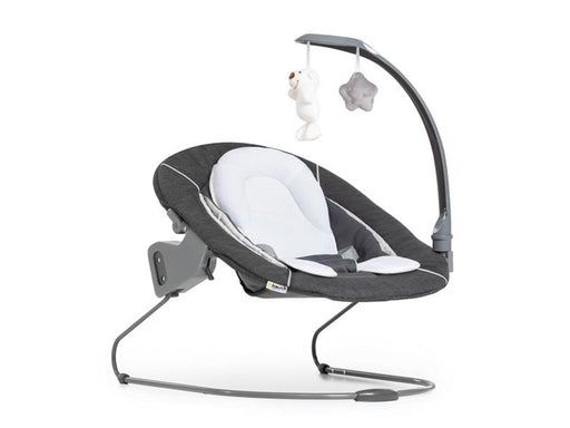 Hauck Alpha Bouncer Deluxe baby rocker/bouncer