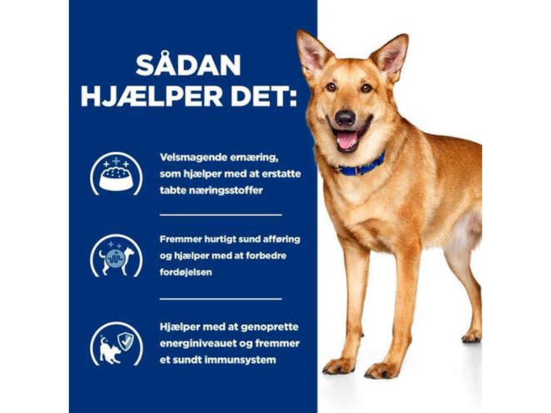 Hill's Prescription Diet Canine Digestive Care Low Fat i/d Stew - Wet dog food - 354 g