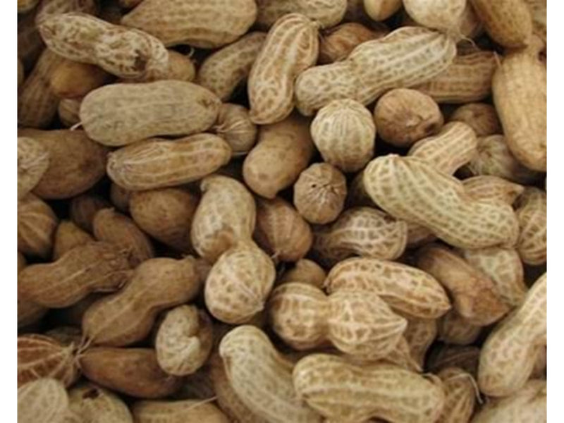 Hobby First Peanuts with shell 10 kg