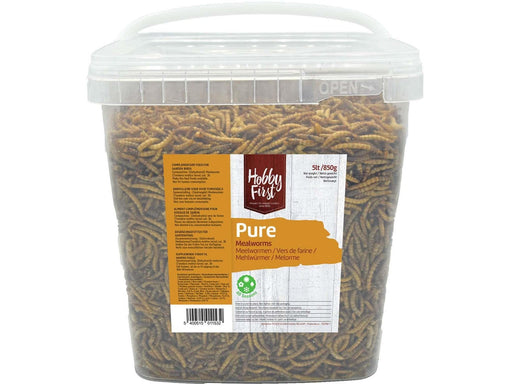 Hobby First - Pure Mealworms - 850g