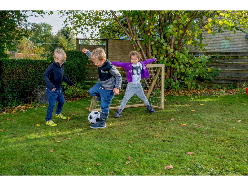 Home Goal Classic Micro
