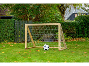 Home Goal Classic Micro