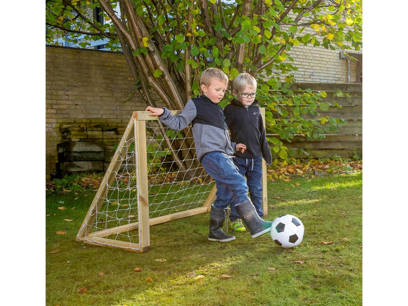 Home Goal Classic Micro
