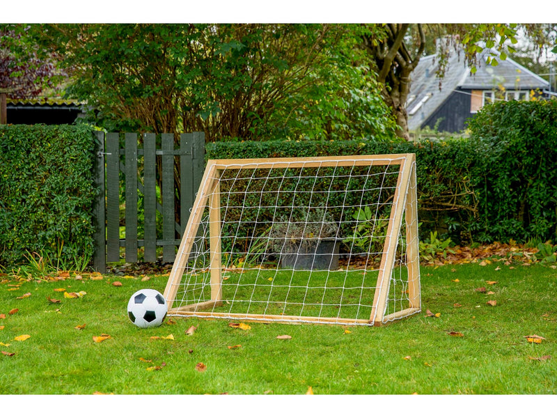 Home Goal Classic Micro