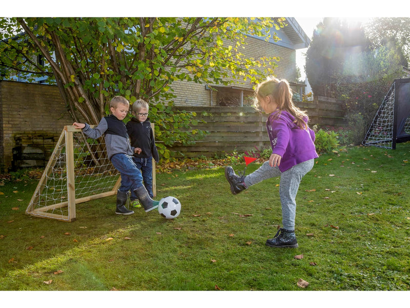 Home Goal Classic Micro