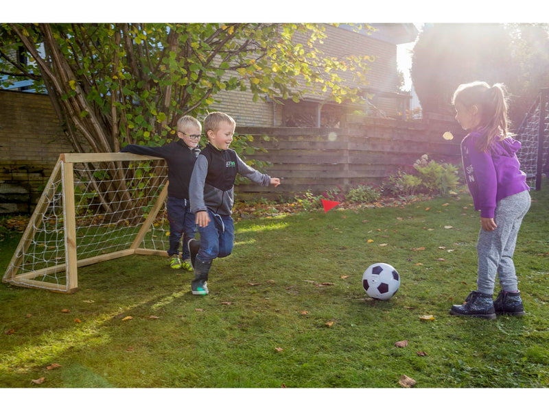 Home Goal Classic Micro