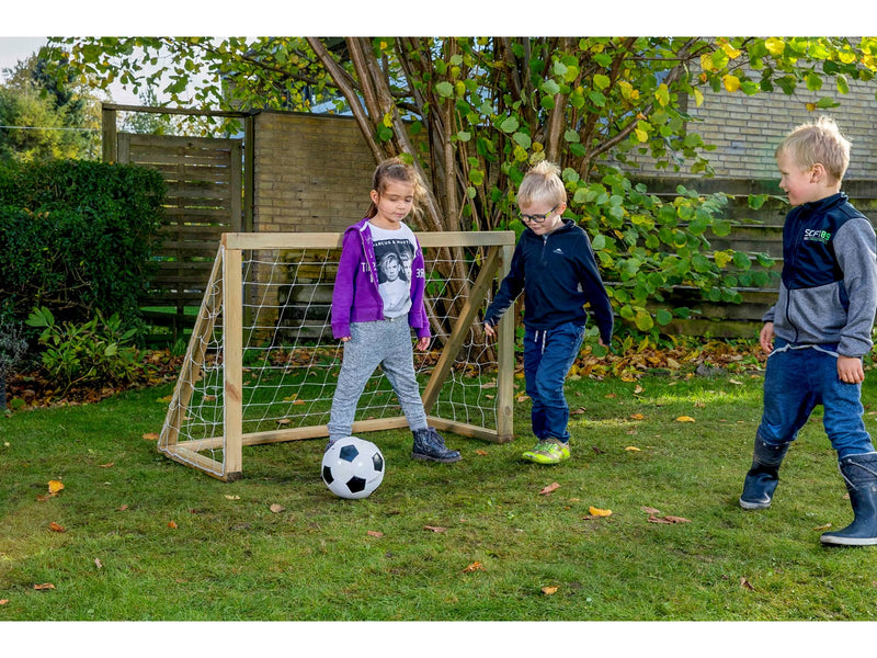 Home Goal Classic Micro