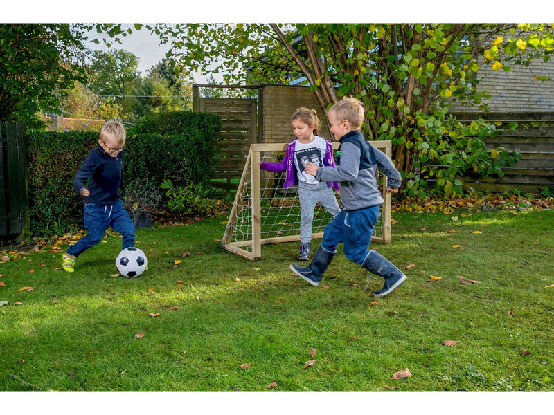 Home Goal Classic Micro