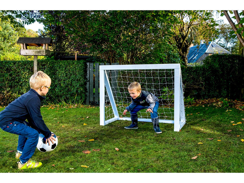 Home Goal Pro Micro - White