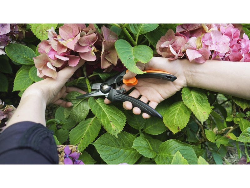 Home>it Pruning shears with straight blade