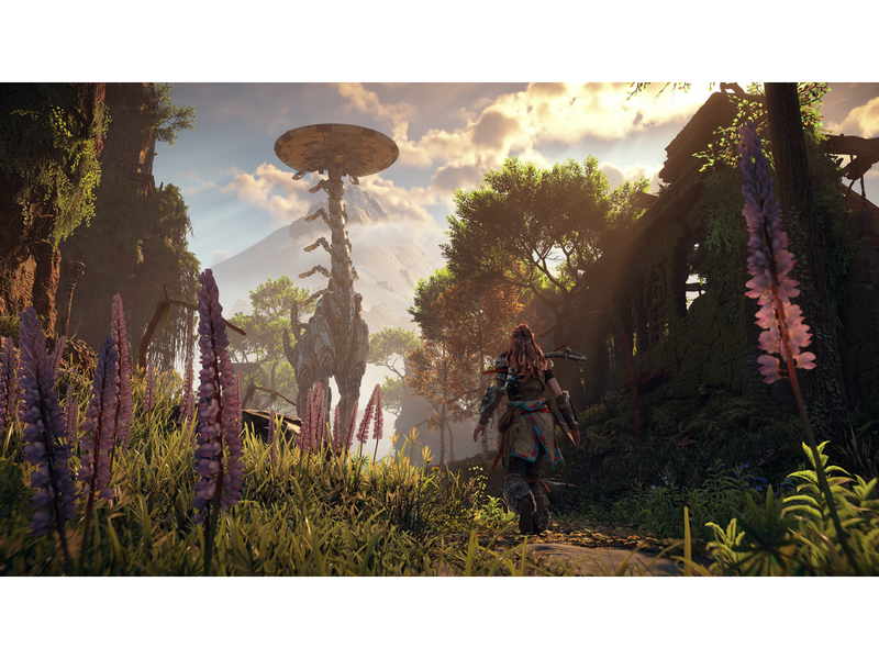 Horizon Zero Dawn Remastered - Sony PlayStation 5 - RPG - PEGI 16