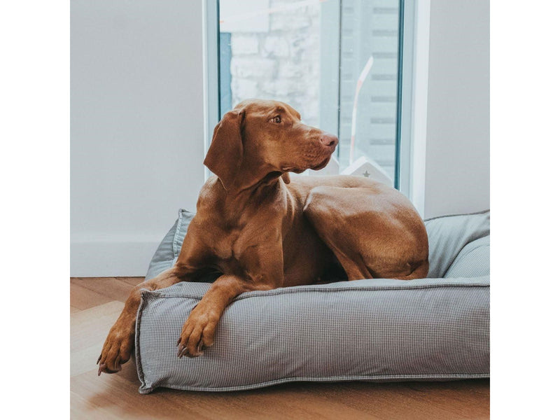 Hunter Bed Padded LANCASTER 100 x 70 cm Grey