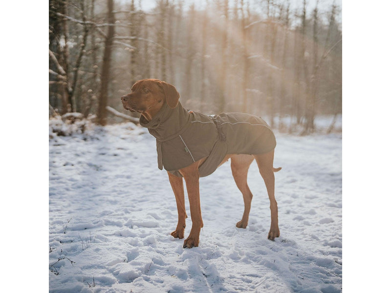 Hunter - Dogcoat Nordby 45 olive - (203439)