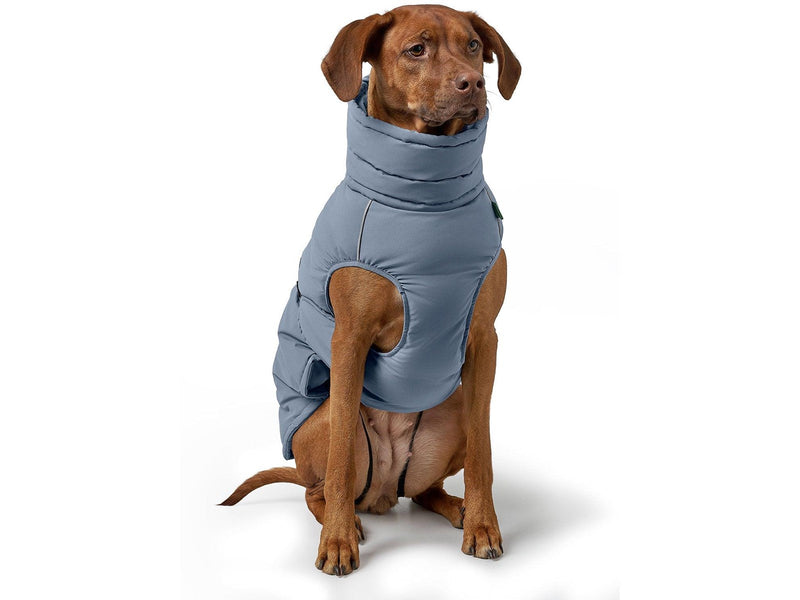 Hunter - Dogcoat Paxson 35 blue - (203461)