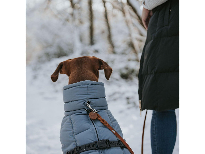 Hunter - Dogcoat Paxson 35 blue - (203461)