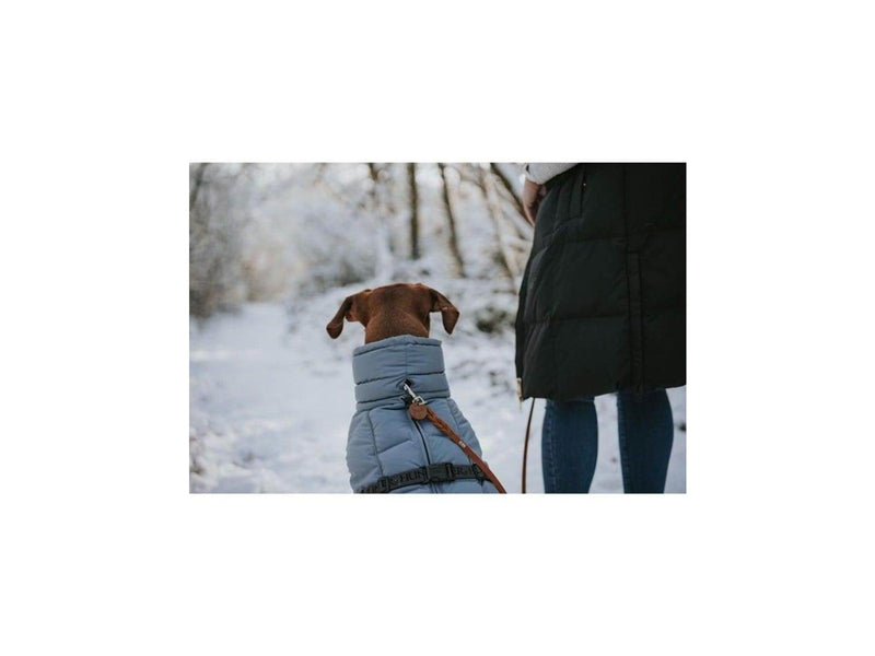 Hunter - Dogcoat Paxson 35 blue - (203461)
