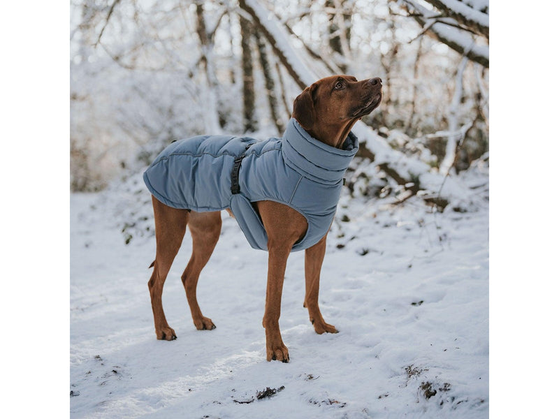 Hunter - Dogcoat Paxson 40 blue - (203462)