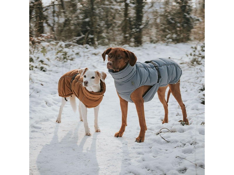 Hunter - Dogcoat Paxson 40 blue - (203462)