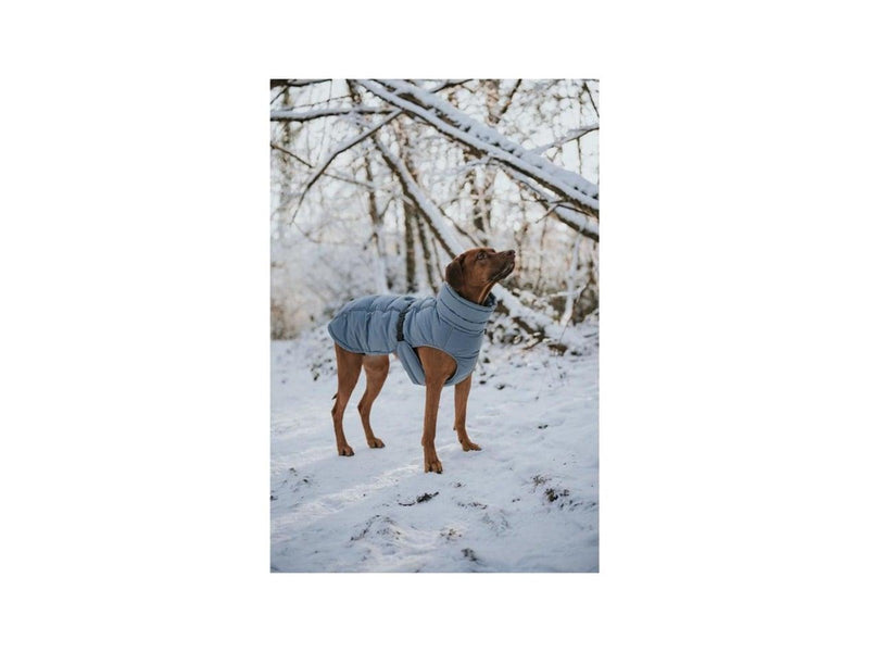 Hunter - Dogcoat Paxson 40 blue - (203462)