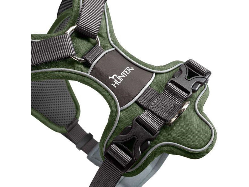 Hunter - Harness Divo L green/grey - (67593)