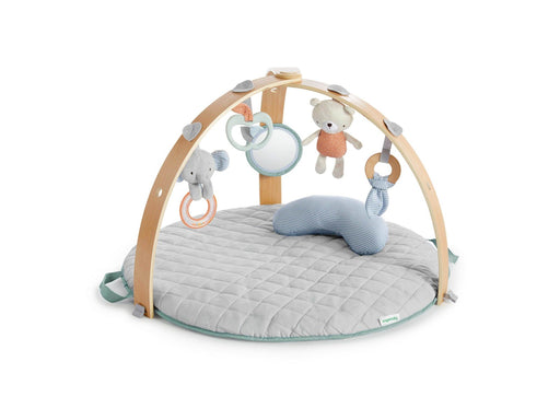 Ingenuity Reversible duvet activity gym