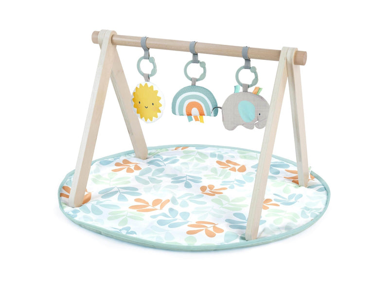 Ingenuity Sun Valley™ Wooden Toy Arch & Play Mat