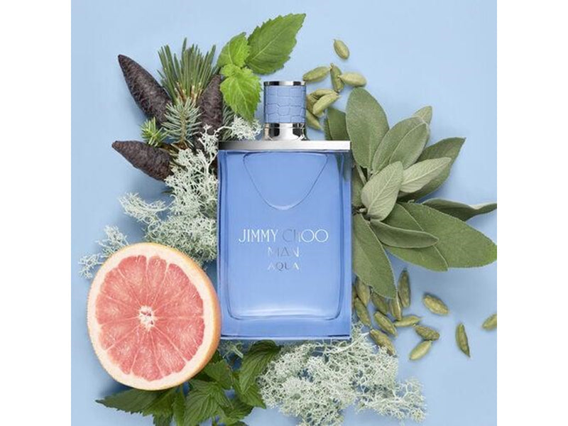 Jimmy Choo Aqua Men Eau De Toilette - 100 ml0