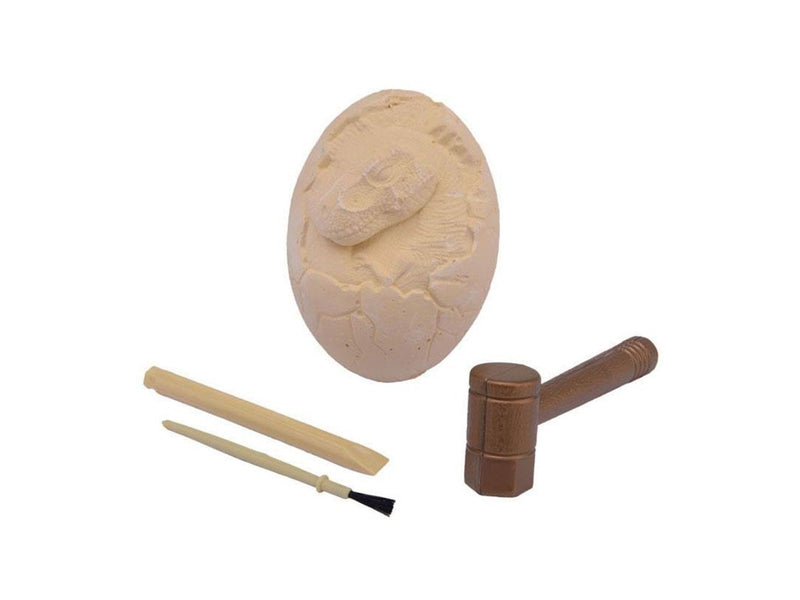 Johntoy Carving Dino Egg Fossil