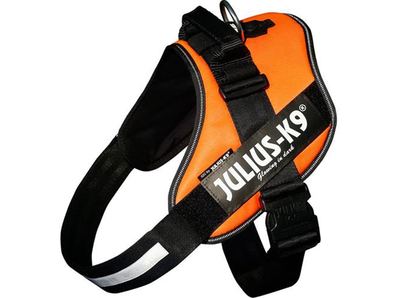 Julius-K9 IDC Powerharness UV Orange 3XL/4 96-138cm